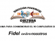 Cartelera Cultural