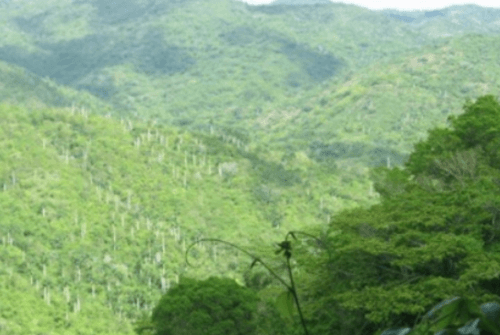 Reserva Ecológica Loma del Gato