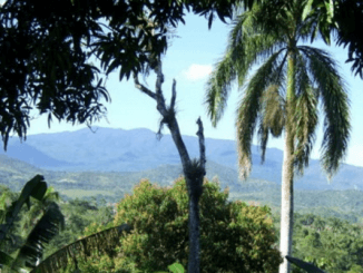 Rutas por la naturaleza