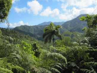 Paisaje Natural Protegído Sierra Maestra