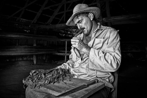Cuba adentro