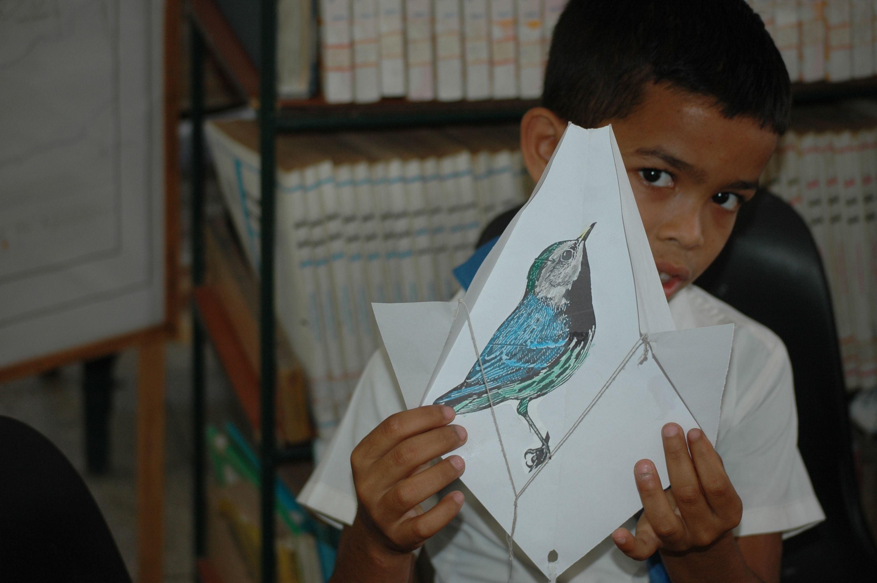 Papalotes por las aves: Una alternativa para incentivar en las personas el amor por las aves.