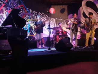 Programación de Junio en el Salón de los Grandes, Patio de Dos Abuelos, Salón del Son e Iris Jazz Club