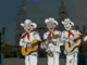 MatamoroSon del 8 al 11 de mayo
