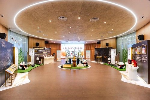 El «Día de Wuliangye» brilla en la Expo 2025 de Osaka El «Día de Wuliangye» brilla en la Expo 2025 de Osaka