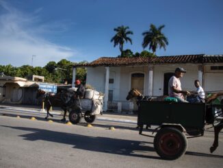 ¿Caerá un 20 de mayo?