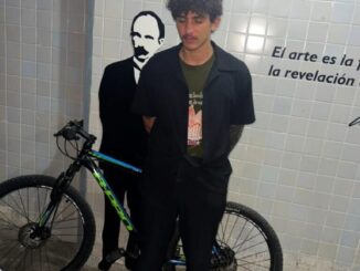 Otro bastardo de la Revolución